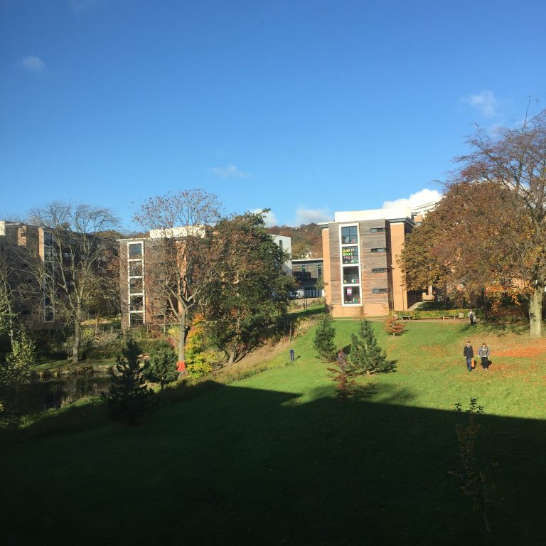 at Sheffield Undergraduate Blog