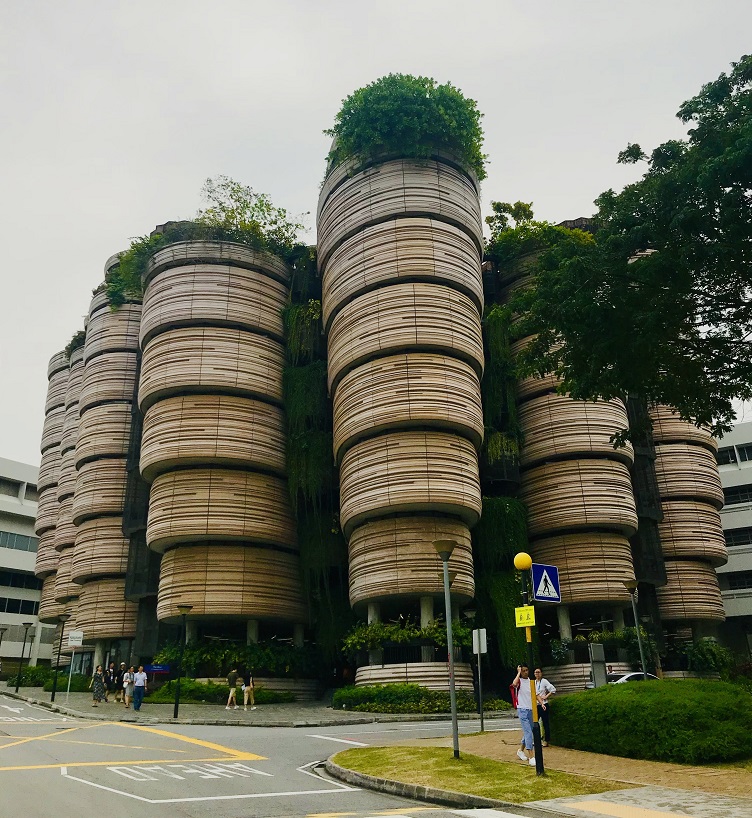 My first semester at NTU Singapore – Undergraduate Blog